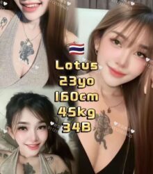 Lotus
