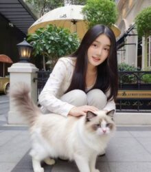 XiaoU